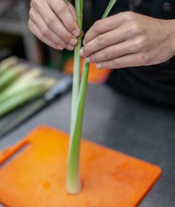 pengganti sedotan plastik ala ponyo